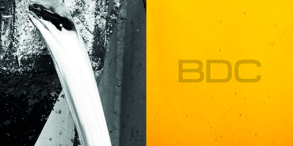 Bio Die Casting New Generation Una societa' giovane